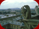 cattedrale di notre dame de paris - gargoyles
